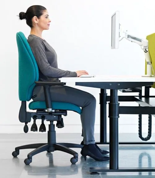 Consultant reviewing posture schematic at desk